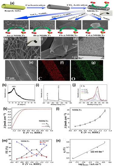 Molecules Free Full Text Biobased Kapok Fiber Nano Structure For