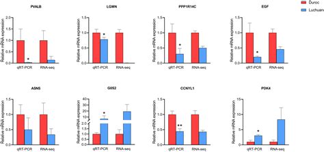 Frontiers Integrative Atac Seq And Rna Seq Analysis Of The