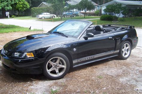 2004 Ford Mustang Pictures Cargurus