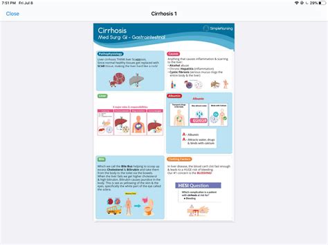 Solution Liver Gallbladder Pancreas Studypool