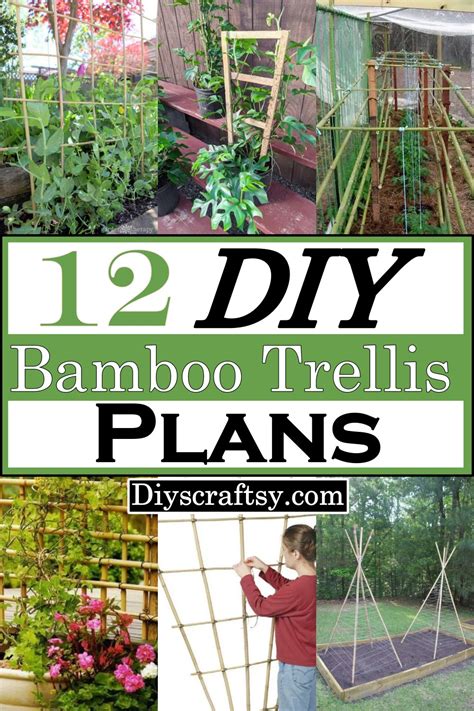 12 Diy Bamboo Trellis Plans For Vertical Gardening Diyscraftsy