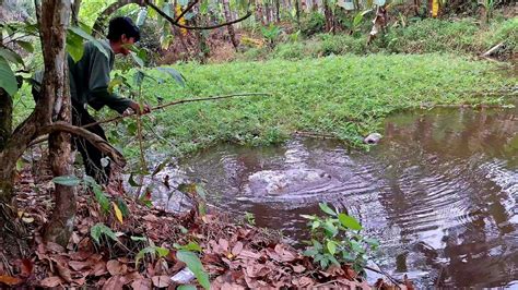 Ikan Disini Babon Babon Dapat Monster Sungai Berkaki Empat Youtube