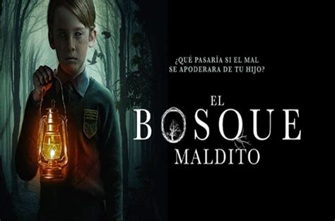 El Bosque Maldito Hd P Y P Latino Vipprodescargas