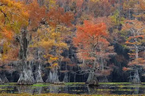 Landscape Photography Workshops