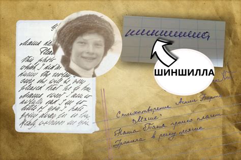 красивый печатный почерк образец русский