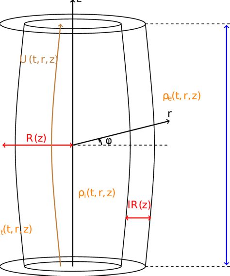 Equilibrium Configuration Of Theoretical Model The Black Lines With Download Scientific