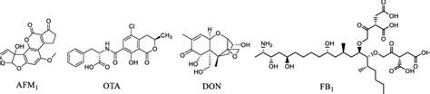 Chemical Structures Of Afm1 Ota Don And Fb1 Download Scientific Diagram