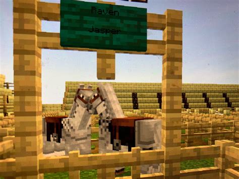how to name your horse in minecraft