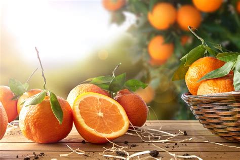 3 Reasons Why An Orange T Basket Makes The Perfect T Us Citrus