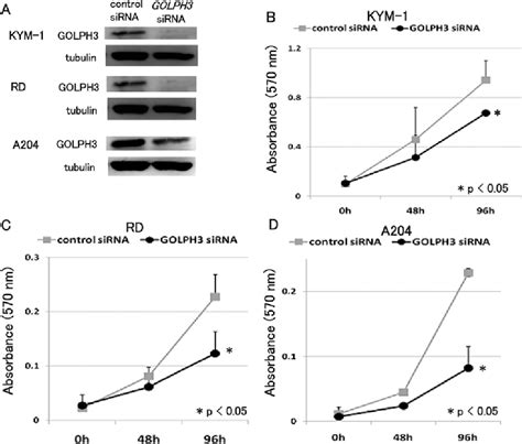 Figure From Role Of Golph And Golph L In The Proliferation Of Human