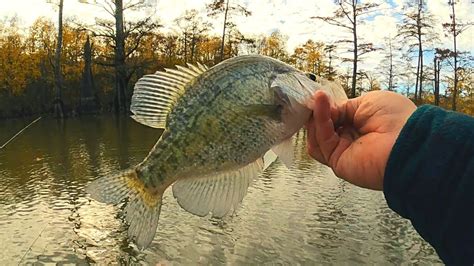 Fishing A Different Lake For Fall Crappie Crappie Fishing Youtube