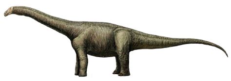 Opisthocoelicaudia Pictures & Facts - The Dinosaur Database