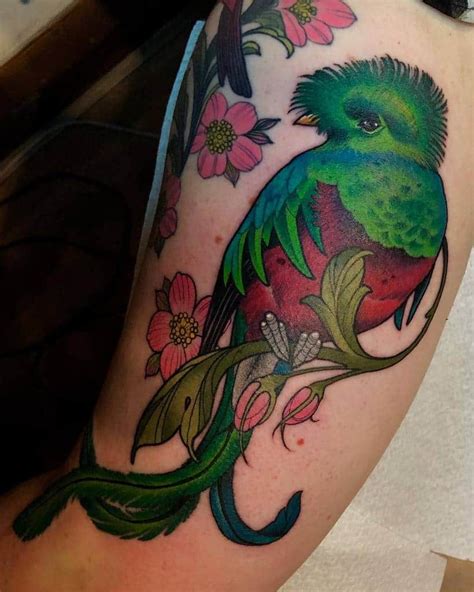 Intriguing Quetzal Tattoo Ideas Inspiration Guide Quetzal