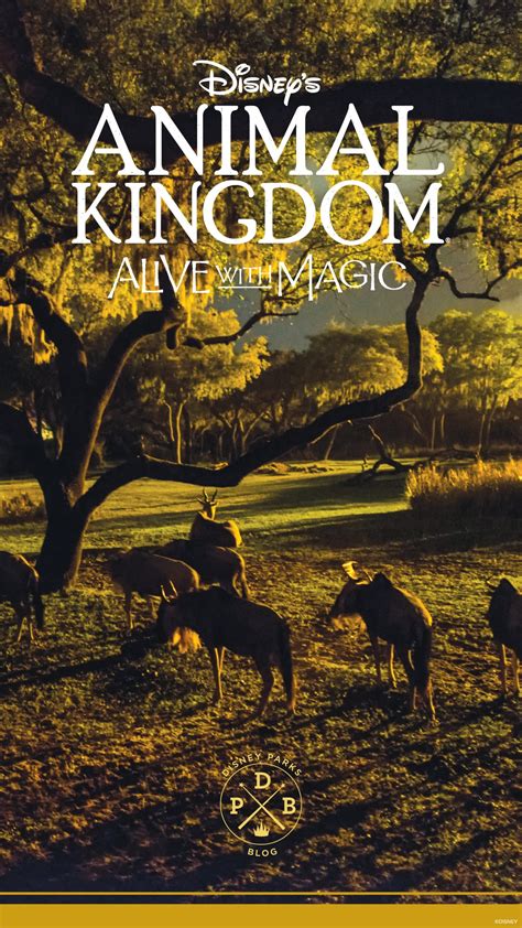 Disney’s Animal Kingdom ‘Nighttime’-Inspired Wallpaper – Mobile ...