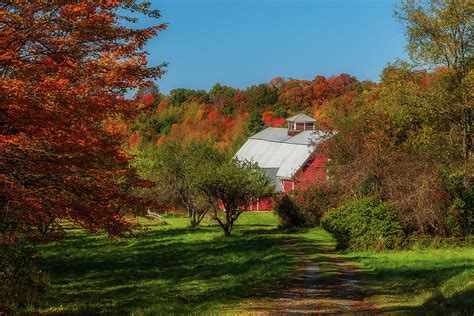 New Hampshire Farm Photograph By Carol Rosenthal Fine Art America