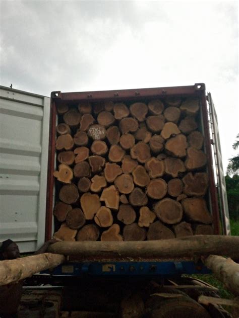 Red Ghana Teak Wood Round Logs At Rs 1500 Cubic Feet In Bengaluru ID