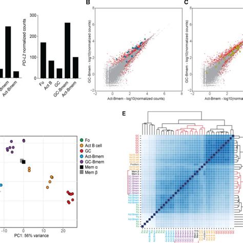 Gene Expression By Gc Bmem And Act Bmem Cells A And B Principal