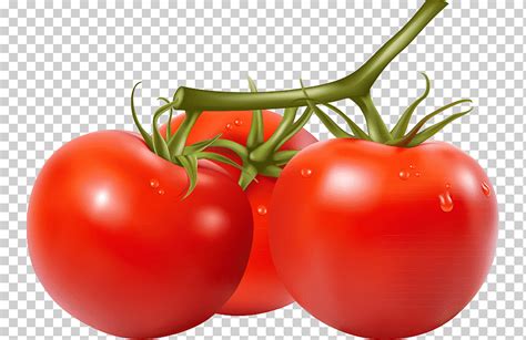 Cherry Tomato San Marzano Tomato Graphy HD Tomatoes Natural Foods