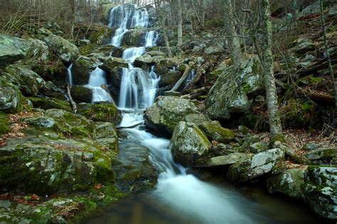 Forest Waterfall Pictures - Spring - spring-waterfall0085