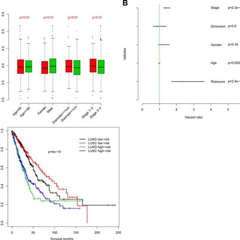 Comparison Of The Prognostic Value Of Risk Score Relative To Other