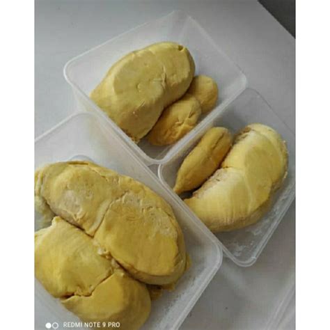 Jual Durian Montong Palu 500gr Shopee Indonesia