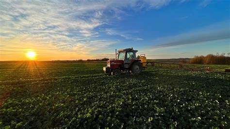 Regulacja I Ochrona Rzepaku 2024r Massey Ferguson 3060 Jar Met 600l