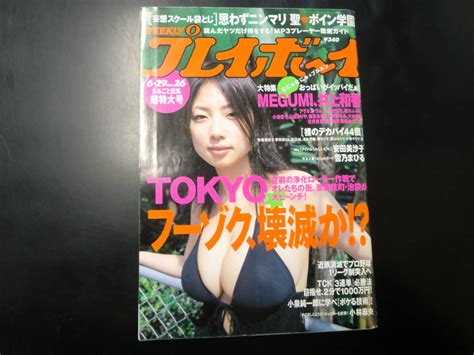 週刊プレイボーイ 2004年 6月29日 No26 Megumi 井上和香 アグネス・ラム かたせ梨乃 細川ふみえ 安田美沙子 雪乃まひるの