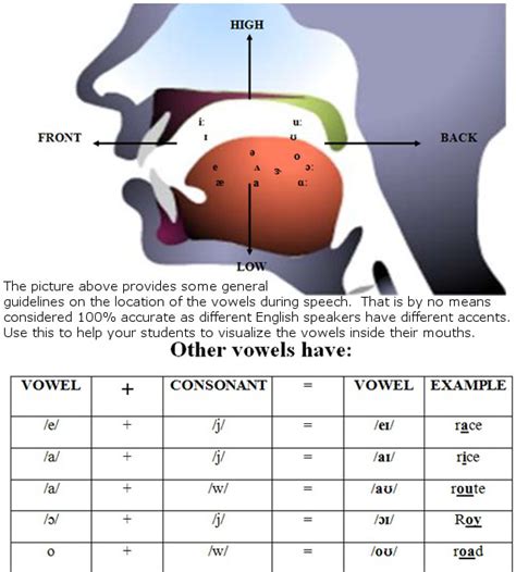 The Vowels Placement Inside The Mouth Speak English Like A Native