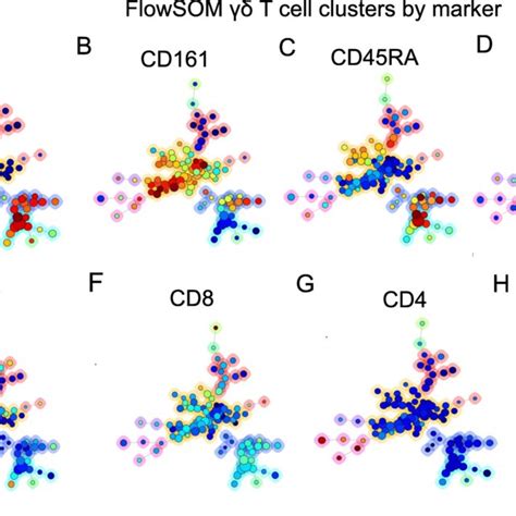 γδ T Cells Subsets Exhibit Distinct Surface Protein Fingerprints Total Download Scientific