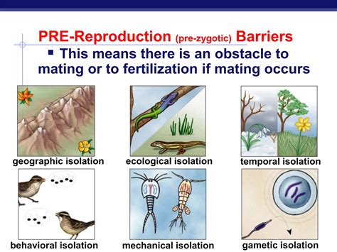 Speciation Types Ap Biology Presentation Ppt