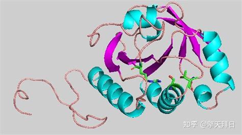 同源建模预测蛋白质三维结构（swiss Model Pymol零基础教程） 知乎