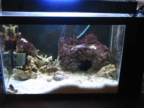 How To Setup And Build A Self Contained Saltwater Aquarium With Built