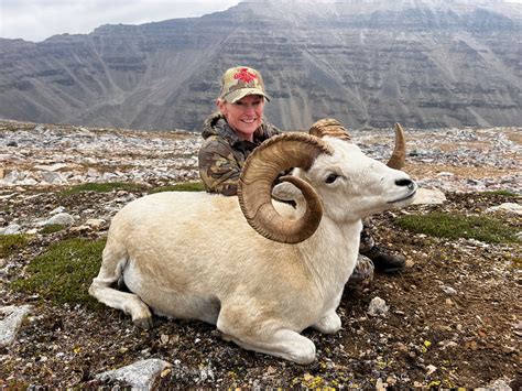 Page Raven S Throat Outfitters Dall Sheep Photo Gallery