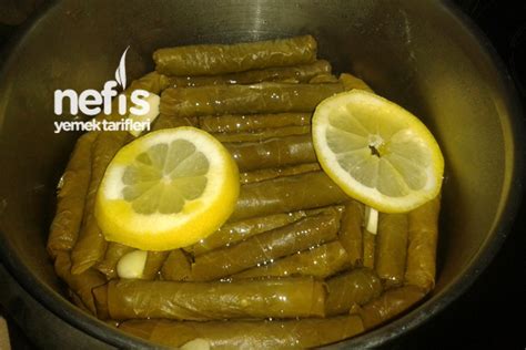 Zeytinyağlı Yaprak Sarma Nefis Yemek Tarifleri elos ELVAN CETINKAYA