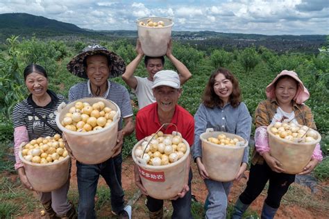 拼多多推农产品「原产地直发」：加大投入完善产地建设，助力乡村振兴 极客公园