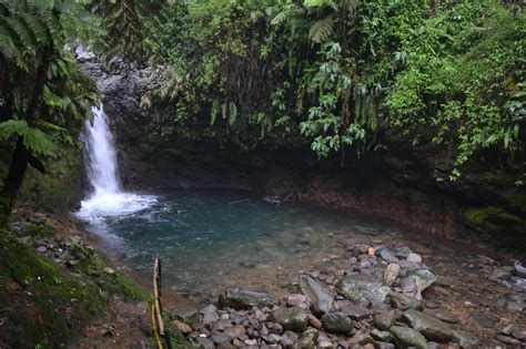 Taman Nasional Gunung Halimun Salak Sarah Beekmans