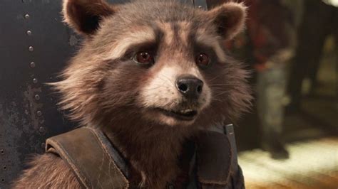 New Story Details For Guardians Of The Galaxy Vol 3 Reveal Rocket