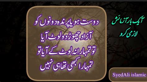 Aqwal E Zareenbest Aqwal E Zareenamazing Urdu Aqwal Urdu Quotes