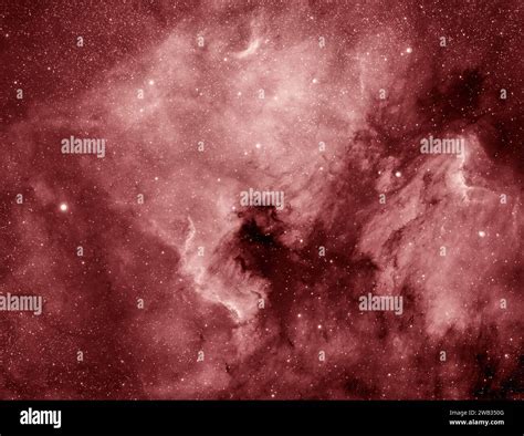 Ngc The North America Nebula In The Constellation Cygnus