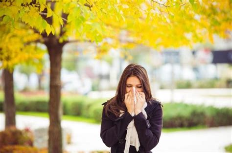 Rhinite Allergique Le Traitement Marche Contre Le Rhume Des Foins