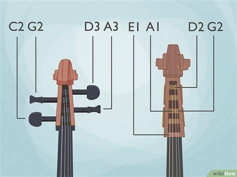 Cello Vs Bass Differences Similarities And Interesting Facts