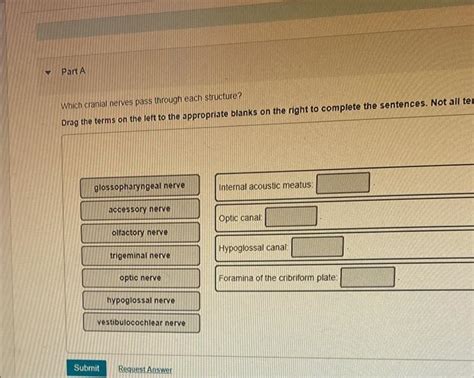Solved Which Cranial Nerves Pass Through Each Structure