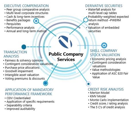 SEC Challenge Of Reverse Merger Share Price ValueScope Inc