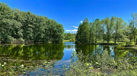 Arbor Day at Holden Arboretum » Holden Arboretum » HF&G