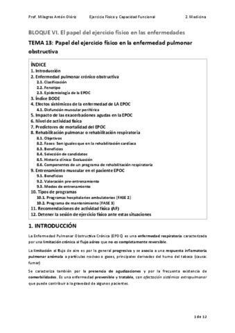 Tema Papel Del Ejercicio Fisico En La Enfermedad Pulmonar