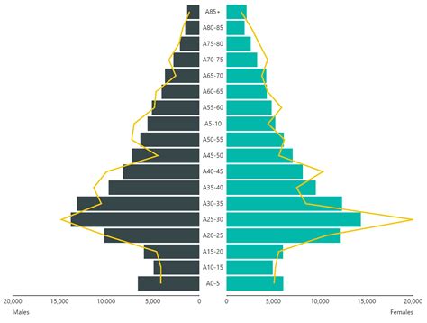 Powerbi Visual Poppyramid Power Bi Custom Visual Showing A