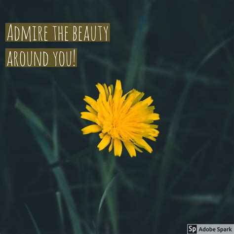 Admire!