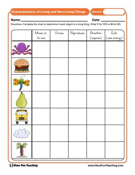 Characteristics of Living and Non-Living Things Worksheet by Teach Simple