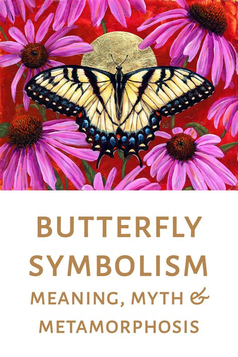 Butterfly Symbolism Discover The Meaning And Metamorphosis