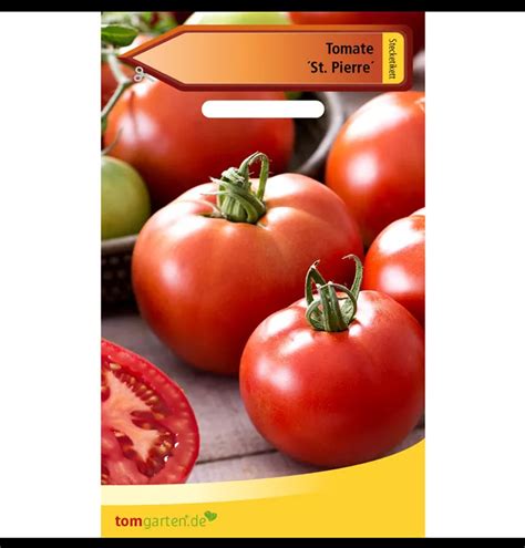 Fleischtomate Saint Pierre Solanum Lycopersicum Saint Pierre 1A